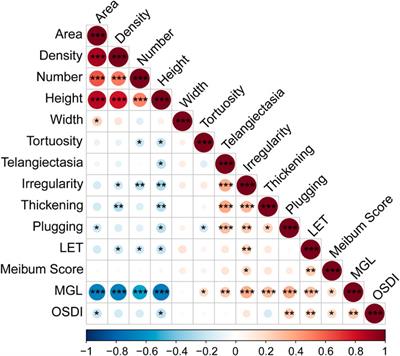 Impacts of gender and age on meibomian gland in aged people using artificial intelligence